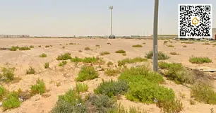 6 Industrial Plots | 114,000 sq ft Each | Freehold | Ready Infrastructure | Al Saja'a | AED 24,0