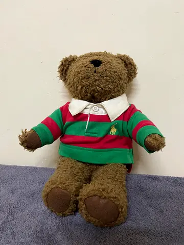 Adorable Plush Teddy Bear