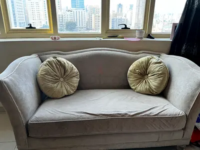 Elegant Two-Seater Sofa with Cushions