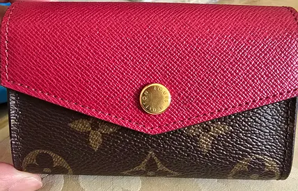 Louis vuitton multicartes card holder