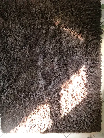 Cozy Shaggy Rug for Your Living Space