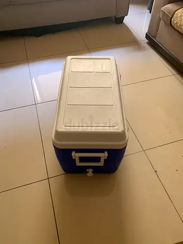 High-Quality Insulated Cooler for Outdoors