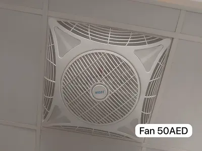 Ceiling Fan for Sale - Excellent Condition