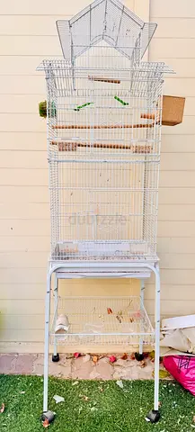 Bird cage good condition