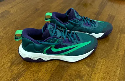 Nike Giannis Basketball Shoe