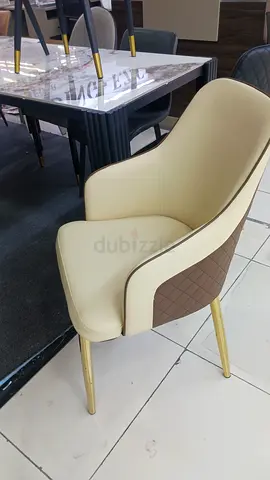 Stylish Modern Dining Chair