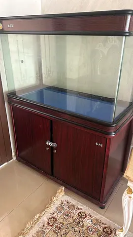 � إعلان بيع حوض سمك – CAY