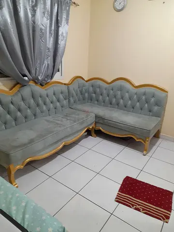 Elegant Tufted Green Sofa Set
