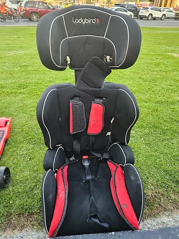 Ladybird Car Seat for Sale - Safe and Comfortable