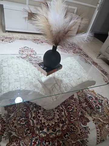 Stylish Glass Coffee Table with Decorative Plant