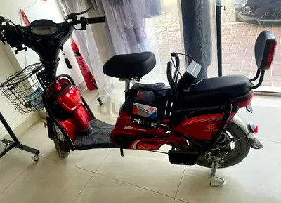 Electric 2 seated scooter