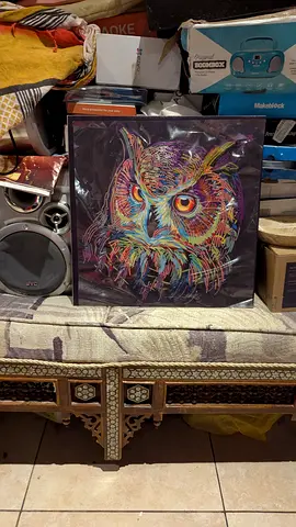 Colorful Owl Artwork