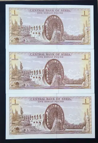 Syria 1 Pound  × 3 Consecutive Serial Number Banknotes, 1978 / Uncirculated