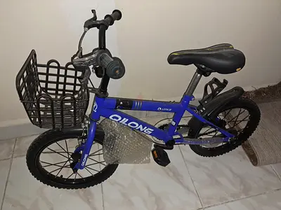 Bicycle 2 month use