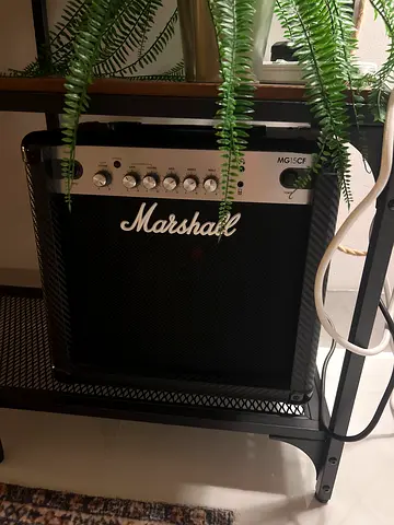 Marshall MG Series Guitar Amplifier for Sale