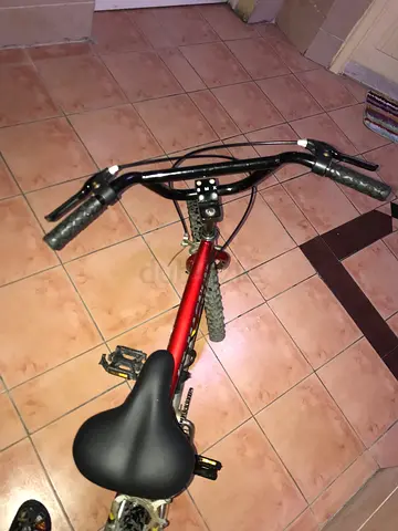 Quality Cruiser Bike for Sale