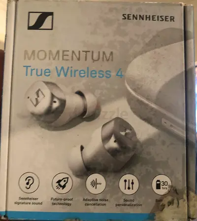 Sennheiser Momentum 4.TWS Earbuds White/Silver