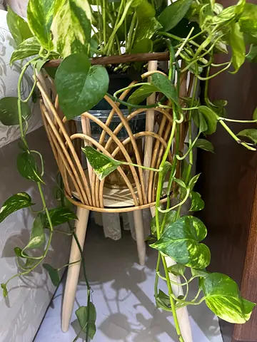 Beautiful I Decorative Pot(plant not include)