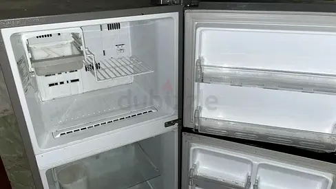 Need a New Refrigerator? This Ones for You!