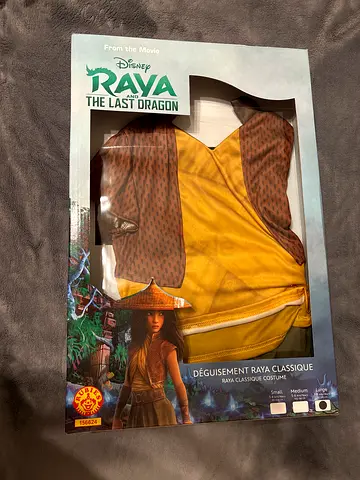 Raya Costume from Disneys Raya and the Last Dragon