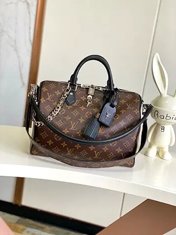 Louis vuitton women hand bag