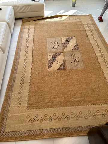 Beautiful Rug for Your Living Room