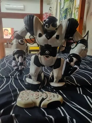 Remote Control Robot with Controller