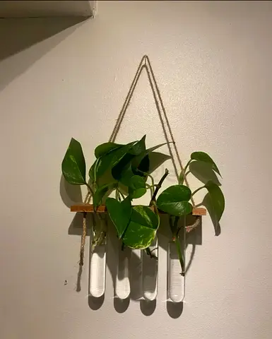 Stylish Hanging Planter with Test Tubes