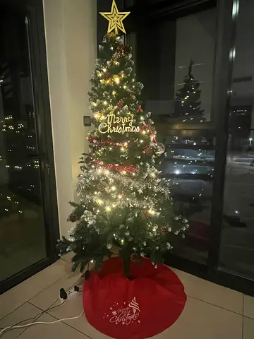 Christmas Tree for sale (all included)