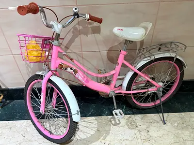 Girls Bicycle for Sale