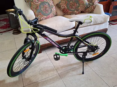 ADULT Bike - Fun and Adventurous