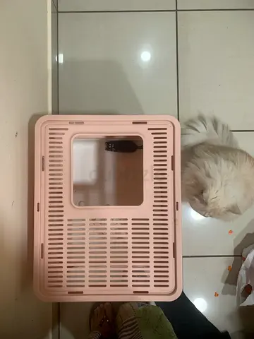 Cat Enclosed Litter Box