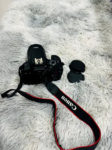 Canon DSLR Camera with Articulating Screen