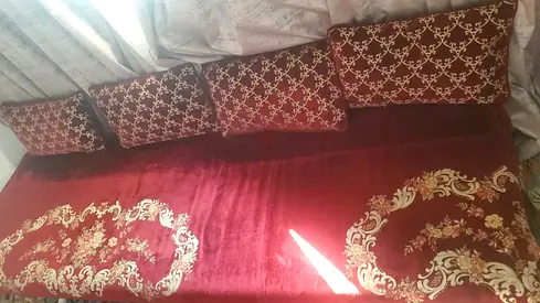 Elegant Red Velvet Sofa with Decorative Cushions