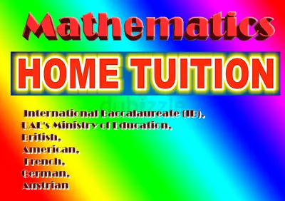 Professional Math Teacher available