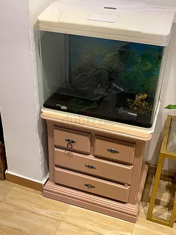 Elegant Aquarium with Stylish Cabinet