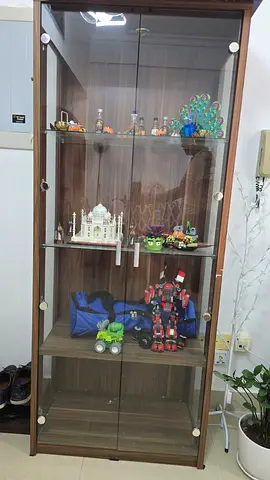 Display Cabinet of Unique Collectibles