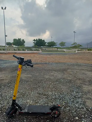 عجمان النعيمية