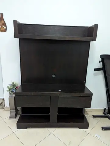 Entertainment Unit