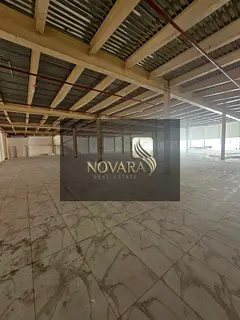Spacious Showroom for Rent in Al Jurf Industrial 3 – Prime Location on Main Road
