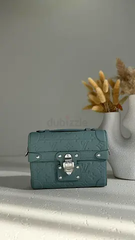 Louis vuitton men side bag