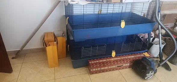 Blue Rabbit Cage with Accessories for Sale two cages