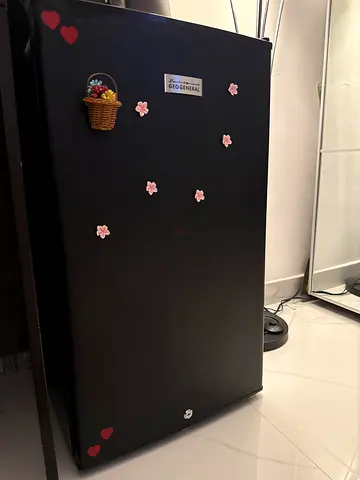 Fridge