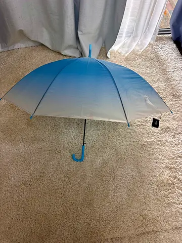 Beautiful Baby Blue Umbrella