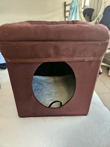 Cat bed(cat hide) box