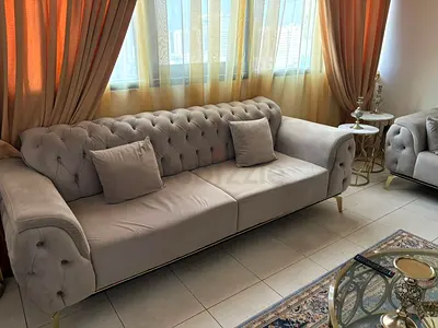 2 Pieces Modern Classic Couches Sofa