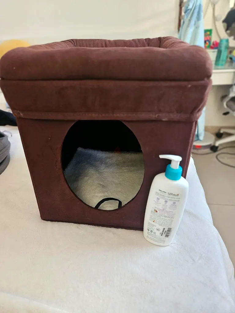 Cat bed(cat hide) box65073399682305113