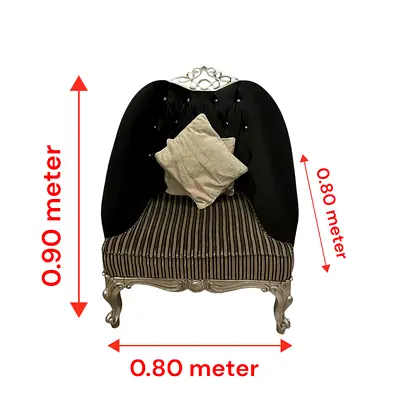 Elegant Vintage Accent Chair with Plush Cushion