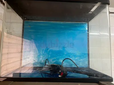 Aquarium Fish Tank with Water Background