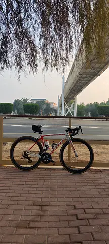 Road bike scott addict 15